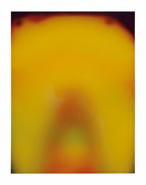 Item #108122787865298836180389659308395321212872070861200479811975176997880584994817 Media