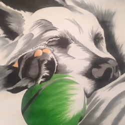 TimeLapse Oliver