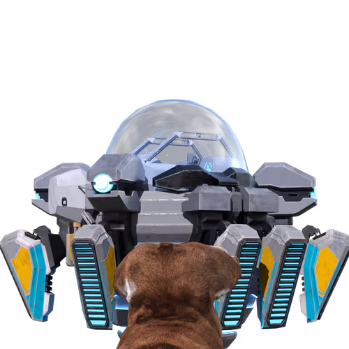 Dawgsout