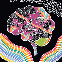 Brain #29