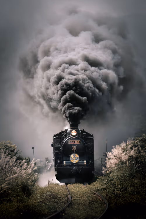 Item #36126446930239739204843078046688067152867337932892190832332247326544363520001 Media