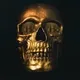 Crytpo Skulls