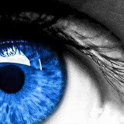Spectrum Eye