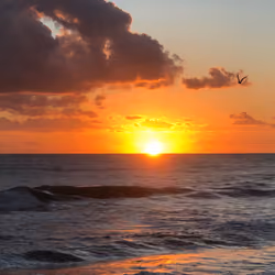 #24 Sunrise at Jensen Beach, Florida on 10/22/22