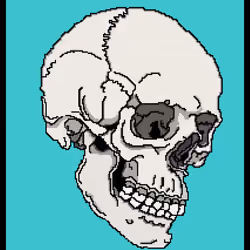 Crypto Skull 05