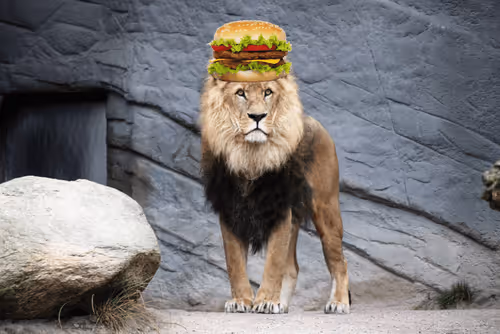 v0pa Collection - old