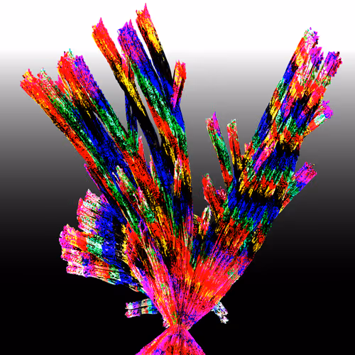 Item #17695285328414013321162775223300201078905627004348366341411776238450940837889 Media