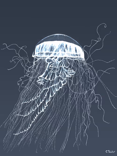 Item #113233535435930126246803406212525192330824104616936385021501681240794944503809 Media