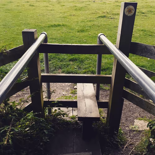 Item #105237010342582609876748436582366170093723610565651913513256945285283868311553 Media