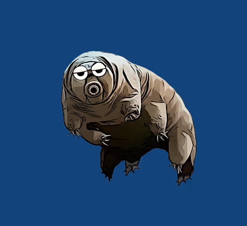 Item #86202550248586517642199010531110464804800601482172909858196685609343100387329 Media