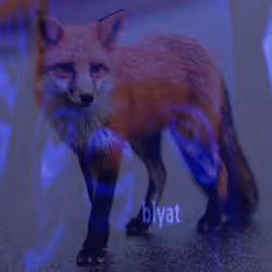 67216338964662326110570068034599829364879819849950429410839559719896926388225