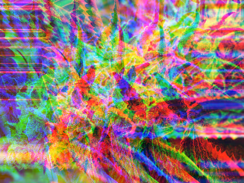 Item #83970981387443879143921485150900069530799783516997234463864977544682913398785 Media