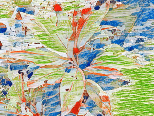 Item #69261177602478584146078213691104273677815526894191982293268528046458372358145 Media