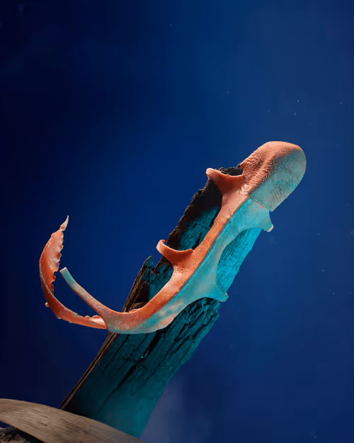 Item #109516060790128716410476023957010007194992899360469946350860993273212220473345 Media