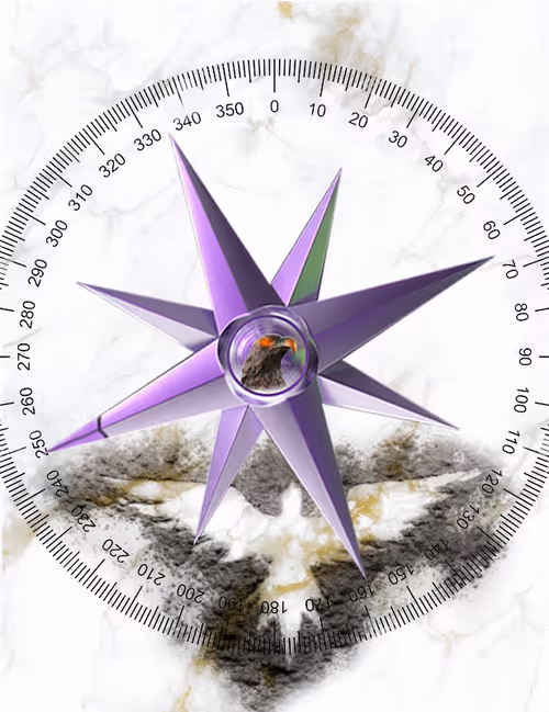 Item #54252931850304595306690029082721201445978313250689431385278468325679734718465 Media