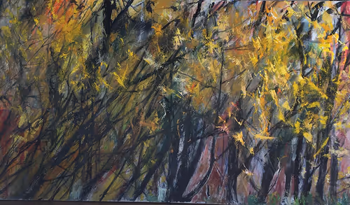 Item #30570506101474719710738310620042499867330861903085432496506805879648798375937 Media