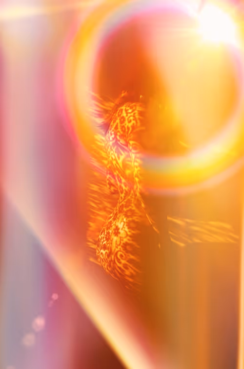 Item #40498021365110625873163859620955492987361950717153146364459205401264420552705 Media