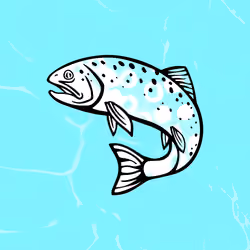 Trout #8