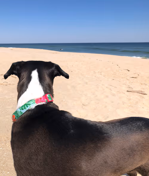 Item #60286361363657250857601775030637471218171117852543341295073303970070543728641 Media