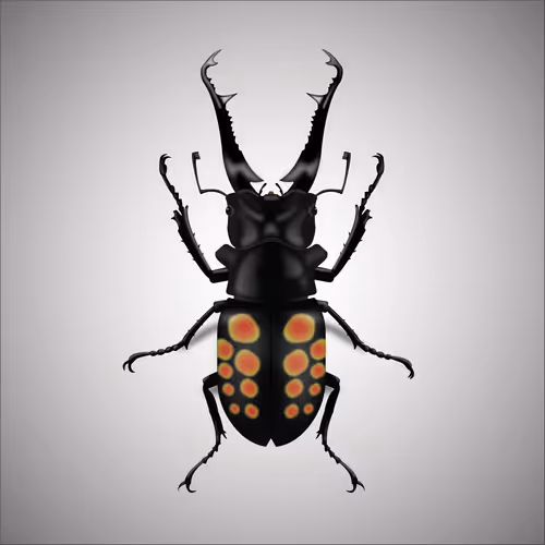 Item #15006194083360452165747859706250248338064014496976576965207407632480062144513 Media