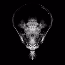 Alien Embryo - 207 of 2000
