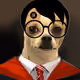 14979902399443104664204166341598272567313800802694280279568744170967898521601