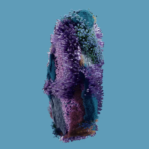 Item #29025029791859050124720480462956340608557292548544538512690378012712790654977 Media