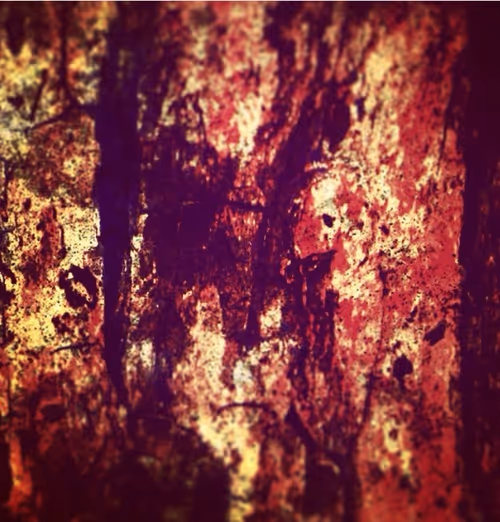 Item #75161883085366100123449825660460491796421375426446498585875262836765332865025 Media