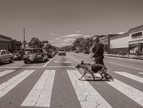 Item #26959255439957110233077989937802681477686360662735004345703791624424112783361 Media