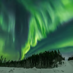 Nature across the spectrum #1. Green #1 . Jagged aurora over black spruce.