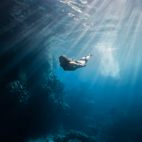 Intothebluecollection