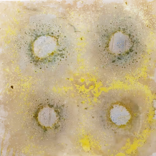 Item #111264774895172989553606282022194155892745764425417346937131400147636414578689 Media