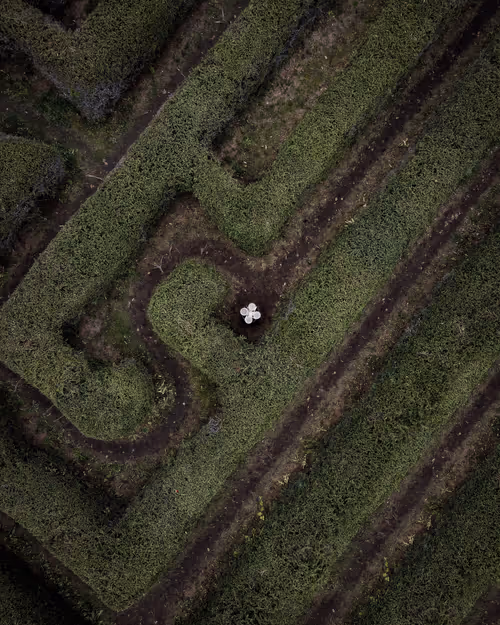 Item #100600280271040798317723628260513137156606623100883316454227272179343803023361 Media