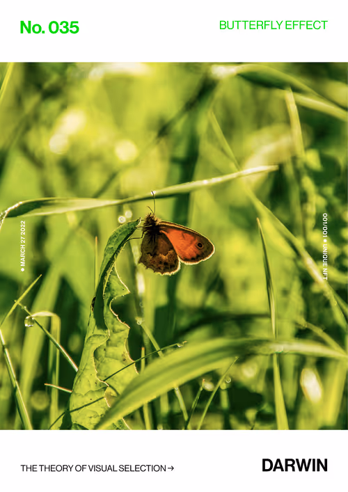 Item #5978613787773959064064561136939516829698711004901919756353002632197544345601 Media