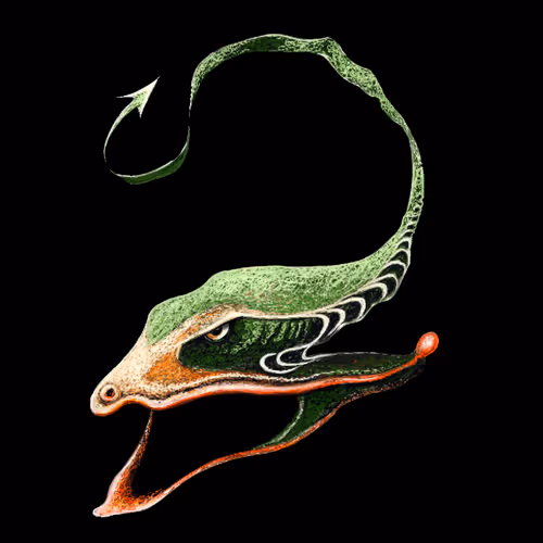 Item #72695523464753550601147126795501667149014001806411121621206157125061472944129 Media