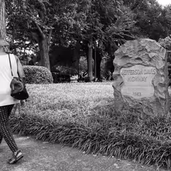 10691109686083431502166818963425883962656955232587770388242978704196942954497