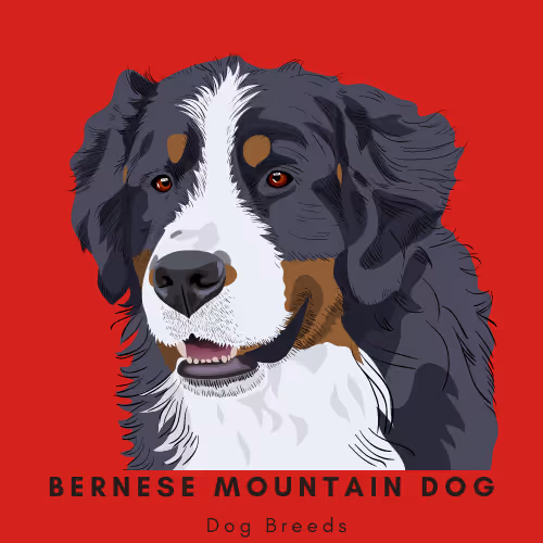 Item #102435799496306094734793923269386745647945406749022464082574321259792935419905 Media