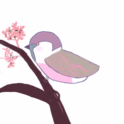 Suzume 4