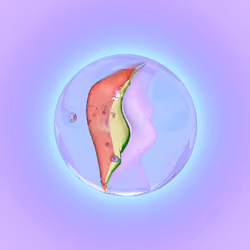 Glass marble #9 - Cats eye - Artistic view