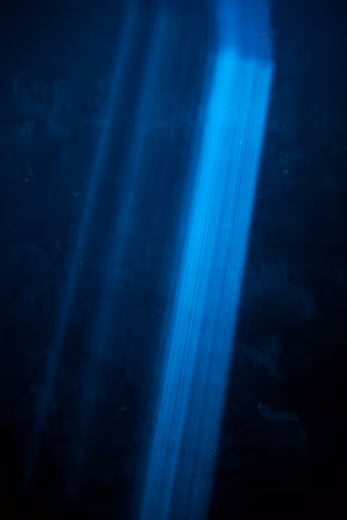 Item #25422583313571458459737529461820134862175223810011730482418987899154258198529 Media