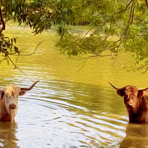 64Crypto Collection - old V2