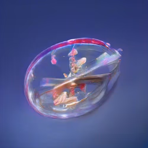 Lifeinbubble 9nMOU4wimF