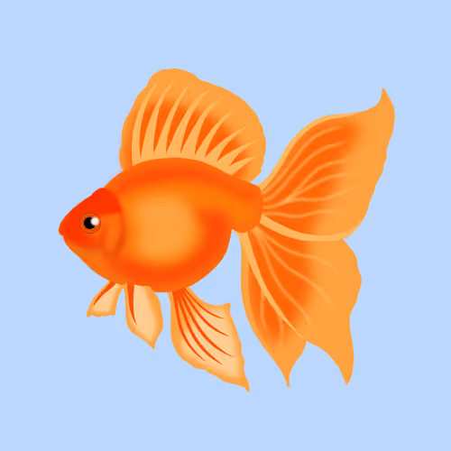 Item #32161804592484110401519511145832478570978504561693923972925345670826943315969 Media