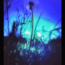 3787080761074609709675817509753112159059746763483256848434353558895919628293