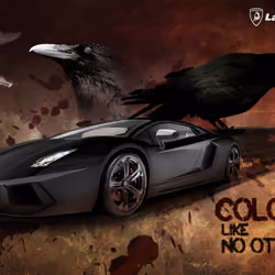 The Black _ crow