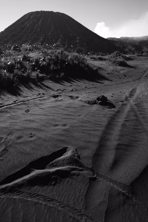 Item #97299197670576688169135242576959850036431919373710156993917717293992930967553 Media