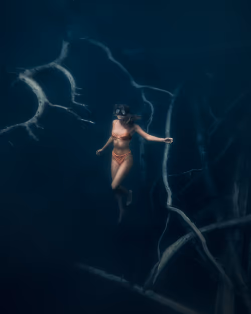 Item #28576884558960261702679330541156353592021494721255183711613472596895801016321 Media