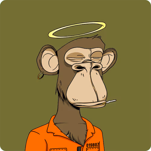 Untitled Collection #19175610