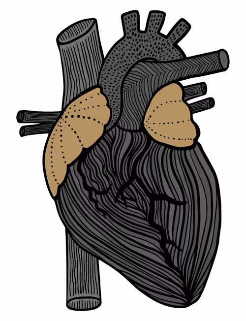 Item #28824502245252267217549902857601847351510039266873569823091148120546969911297 Media