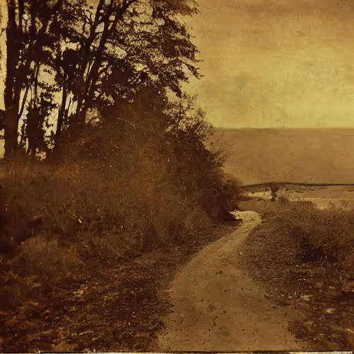 Item #83280107070391697529376828382192850557060699628127089263691584836575892078593 Media